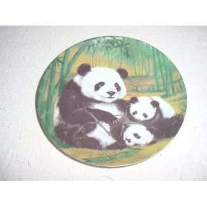  Asian Pandas Plate by Sadako Mano: Everything Else