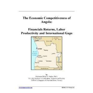  The Economic Competitiveness of Angola: Financials Returns 