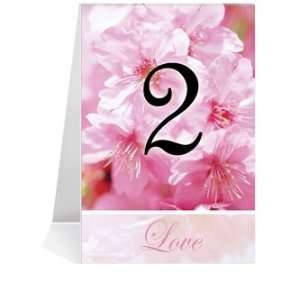   Wedding Table Number Cards   Pink Azalea #1 Thru #29