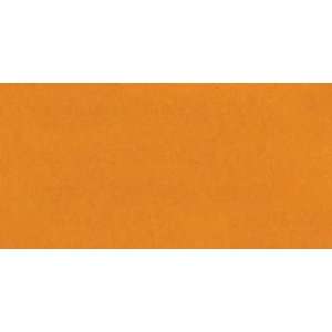  Jacquard Acid Dyes 1/2 Ounce Golden Ochre 