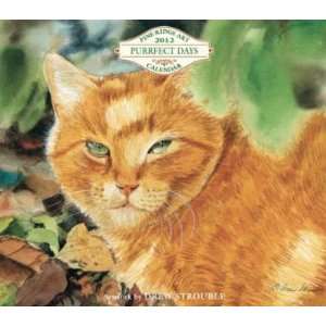  Purrfect Days by Drew Strouble 2012 Wall Calendar Office 