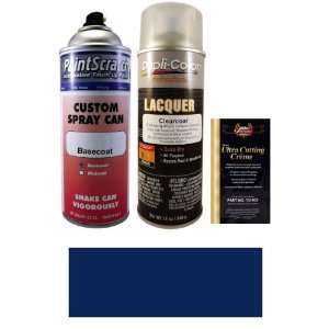   Spray Can Paint Kit for 1966 Chevrolet Truck (508 (1966)): Automotive