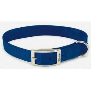  Nylon Single Collar Blue 1X22: Pet Supplies