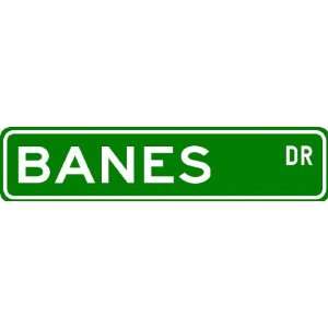  BANES Street Sign ~ Personalized Family Lastname Sign 