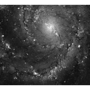   Imaging of Hot Gas and Star Birth in M101   24 X 21.5: Everything Else