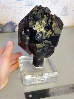 Giant Hallelujah Junction Smoky Scepter Quartz Crystal  