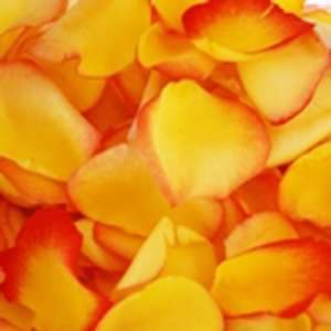    3000 Fresh Rose Petals Bicolor Yellow red Patio, Lawn & Garden