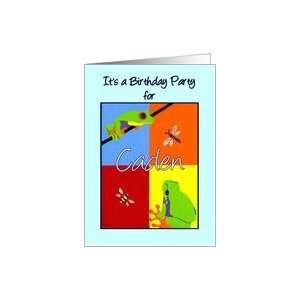   for Caden   Colorful frogs bee dragonfly bugs Card: Toys & Games