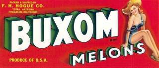 Buxom Vintage Pinup Melon Crate Label Yuma, AZ woman  