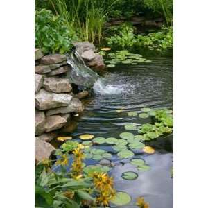  Small Man Made Pond and Waterfall   Peel and Stick Wall 