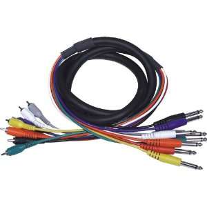  Live Wire 8 Channel RCA 1/4 Snake 2 Meters Electronics