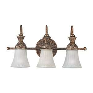 Sea Gull Lighting 47252 758 Highlands 3 Light Bathroom Lights in Regal 