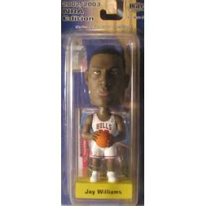  Jay Williams NBA Bobblehead 2002/2003 Toys & Games