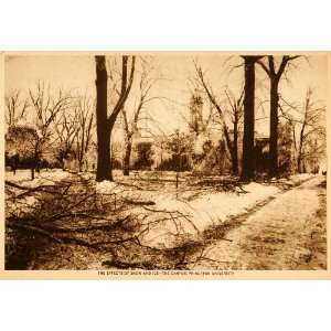   Winter Ice Snow Storm Debris Trees   Original Photogravure Home