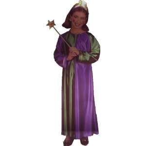  Mardi Gras Princess Purple and Green Gown with Gold Crown 