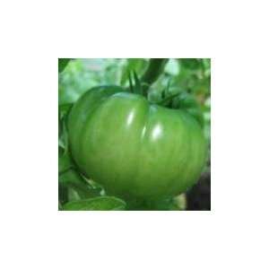  Green Pineapple Tomato Seed Patio, Lawn & Garden