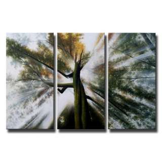 Piece Sunlight Tree Painting Gallery Wrapped Canvas Hanging Wall Art 