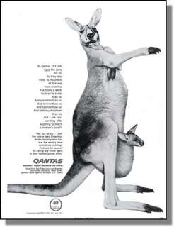 1960 Kangaroo with Baby   Qantas Airlines   Print Ad  
