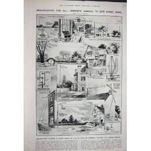    1922 Broadcasting Domestic Aerials Garden Outdoor: Home & Kitchen