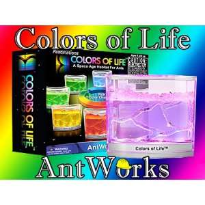    Antowrks Colors of Life Space Age Ant Habitat: Toys & Games