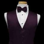 windsor tie pre tied also available in the following colors