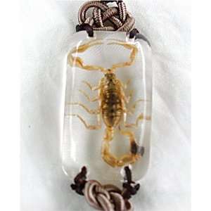  Insect Bracelet Scorpion Clear 