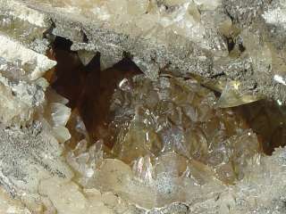Golden Amber Clusters of Calcite Crystals In This fossilized 