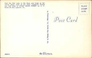Ligonier PA Story Book Forest Postcard  