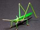 Yujin Japan Insect I Gashapon Figure Large Weevil No.09 items in 