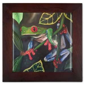  Red Eyed Tree Frog Ceramic Wall Decoration: Home & Kitchen