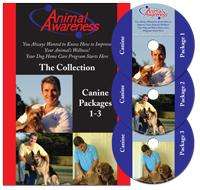 Dog Massage DVD Collection   21 Lessons  