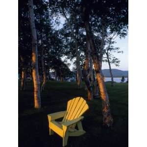  Chair Sits in a Beam of Sunlight Among Trees Near the 