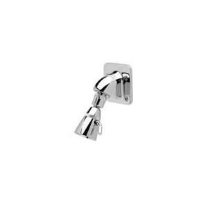   Vandal Resistant Large Shower Head with Volume Control Z7000 I6: Home