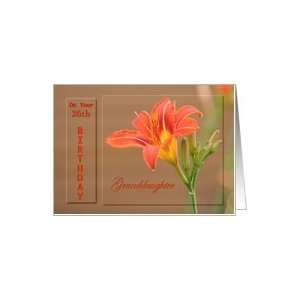   Granddaughter ~ Age Specific 26th ~ Orange Day Lily Card Toys & Games