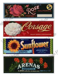 Vintage Can Labels Collage Sheet A162  