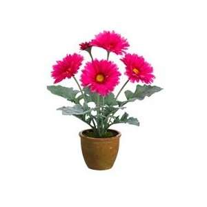  Pink Artificial Gerber Daisy in Container