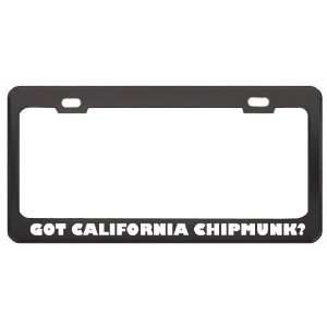 Got California Chipmunk? Animals Pets Black Metal License Plate Frame 