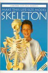   This Life Size Model Skeleton by Iain Ashman 1996, Paperback  