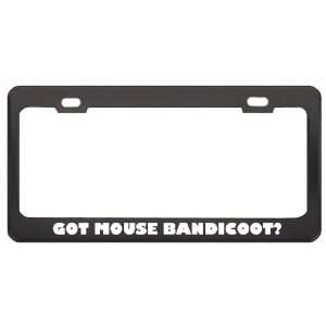 Got Mouse Bandicoot? Animals Pets Black Metal License Plate Frame 