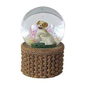  Jack Russell Puppy Water Globe: Home & Kitchen