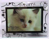 Glass Mirrored Cats Photo Picture Frame, 6x4, NEW 847058064413  