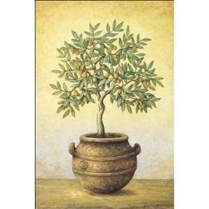  John Park   Green Olive Tree Canvas: Home & Kitchen