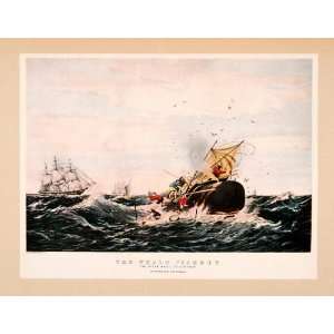 Whale Fishery Sperm Whale Flurry Currier Ives Ship Boat Ocean Whaling 