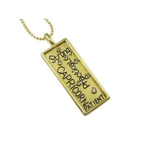   Zodiac Pendant / Necklace with Sign Traits on Front and Star Chart on