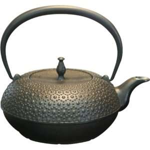  Nanbu Tekki Toun kikou Tea Pot: Kitchen & Dining