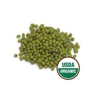 Organic Sprouting Seeds Mung Bean 5 Pounds   Todds Seeds  