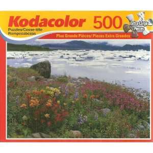  Kodacolor Tongass National Forrest, AK 500 Piece Jigsaw 