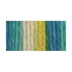  Bernat Softee Chunky Ombre Yarn Energize; 3 Items/Order 