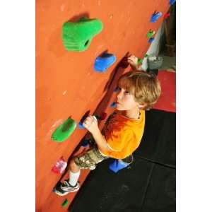     10 Gray Bolt on Kids Beginner Climbing Holds: Sports & Outdoors