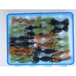  NEW FLIES 24 BRASS EYED FLAT BODIED DRAGON FLY NYMPHS 
